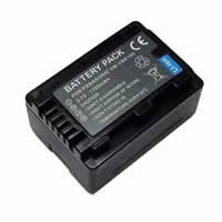 Batteries pour Panasonic HDC-TM40